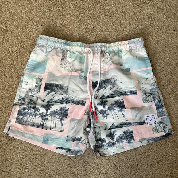 American Eagle Outfitters Other - American Eagle Men's Swim Shorts Trunks Palm Tree Coastal Print Size Small